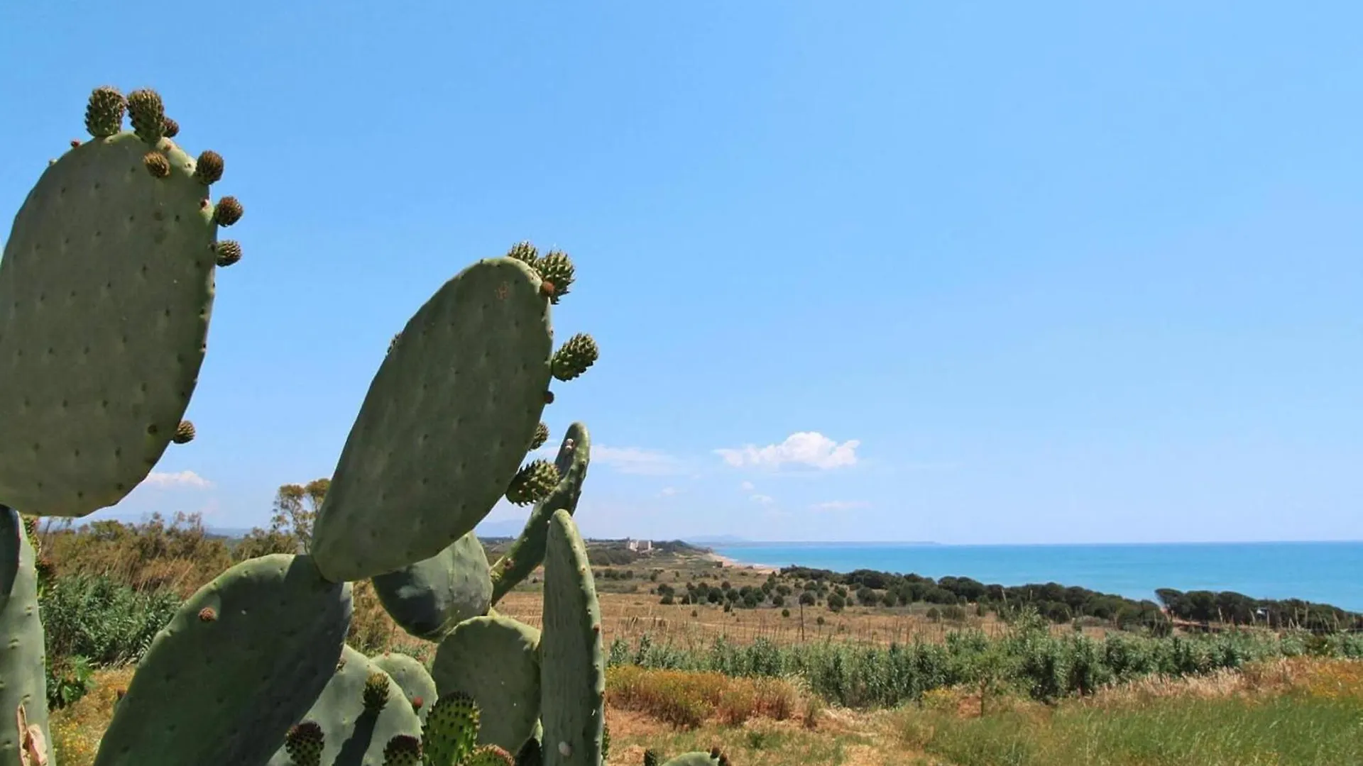 Apartment In Castelvetrano Near Shopping